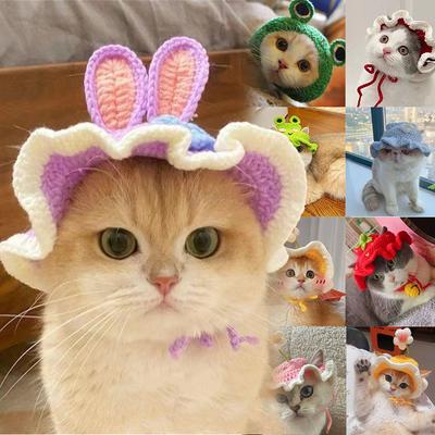 Gatos – Roupa para gatos