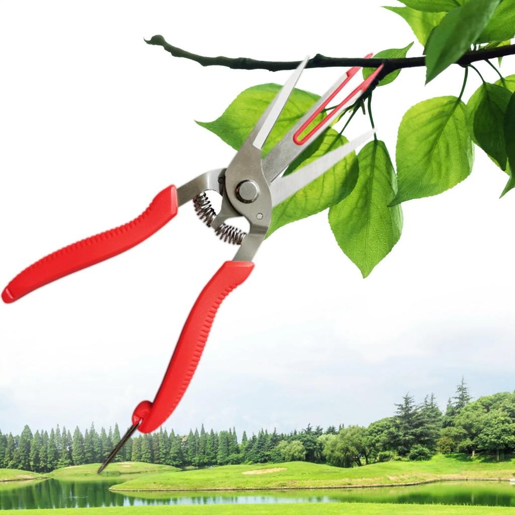 Garden Tools Double Edged Apple Picking Scissors Kiwi Pear Fruit Trees Double Mouthed Sparse Fruits Flower Thinning Scissors