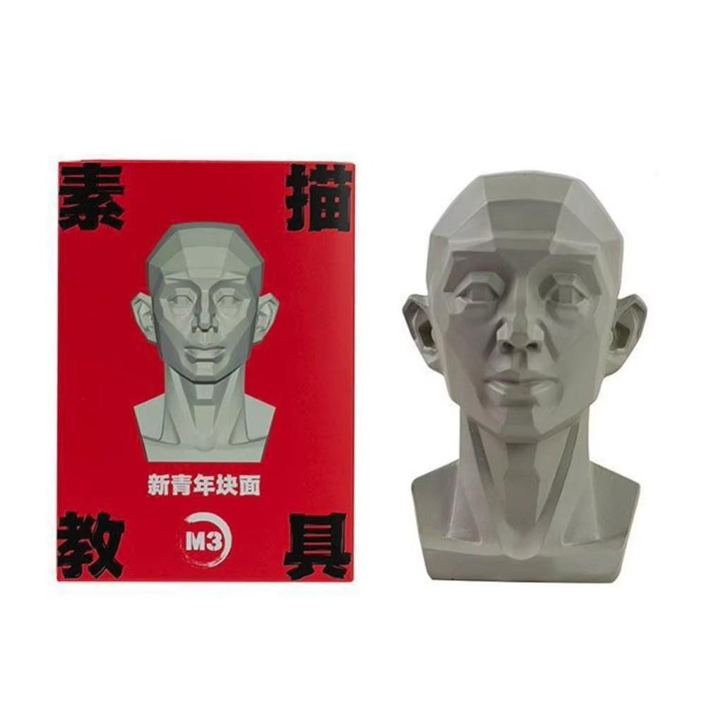 Still Life Ornament Planar Head Model Resin Skecthing Painting Sculpture  for Art Beginner