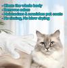 6Pcs Unscented Extra Thick Pet Cleaning Wipes For Dogs  Catsdog Washing Bathing Deodorizing Grooming Gloves For Daily Care