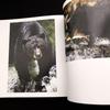 [USED] Paul Nicklen Photo Collection "Bear: Spirit of the Wild