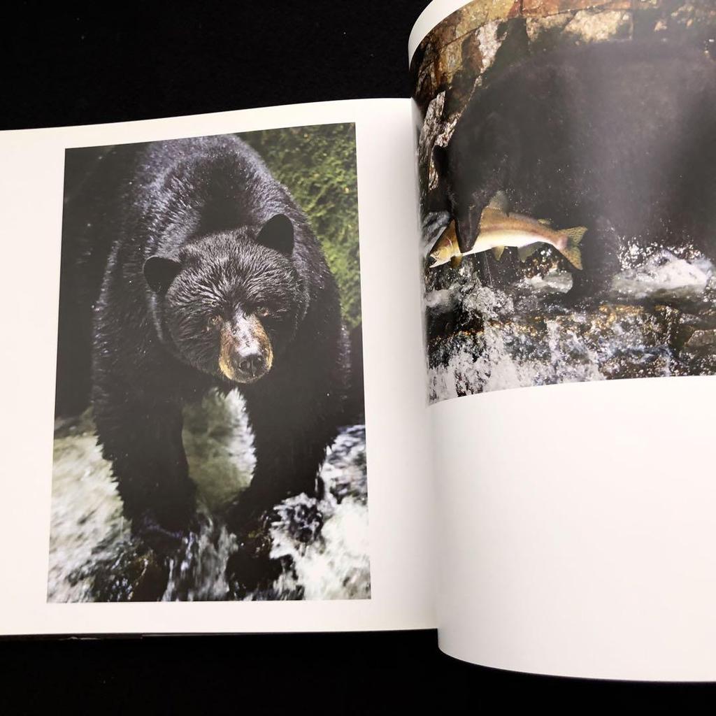 [USED] Paul Nicklen Photo Collection "Bear: Spirit of the Wild