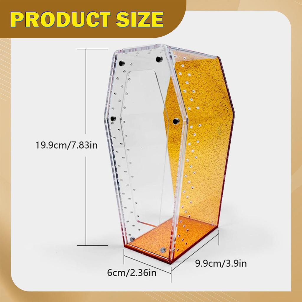 Jumping Spider Enclosure Acrylic Reptile Terrarium Amphibian Habitat Container Small Aquarium Box for Praying Breeding Home