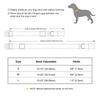 Anti-lost Personalized Dog Collar Waterproof Dogs Buckle Collars Soft Padded ID Necklace for Small Medium Large Dogs 5 Colors