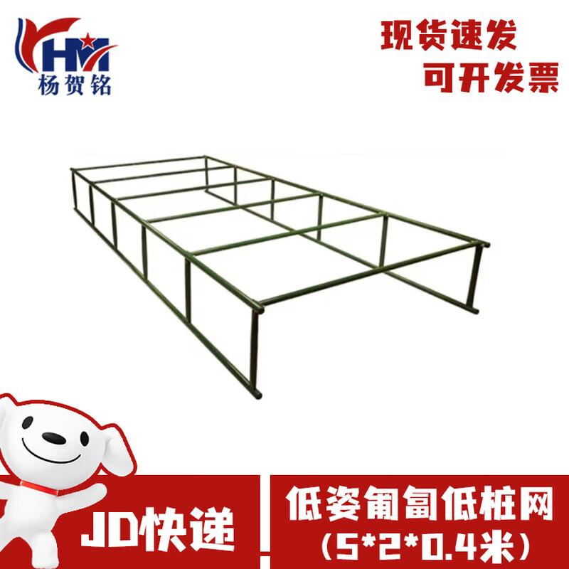 Tactical Low Obstacle Net Training System