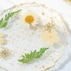 Real Dried Flowers Coaster Heat-Resistant Home Kitchen Transparent Cup Mat for Resin Handmade DIY Decor Unique