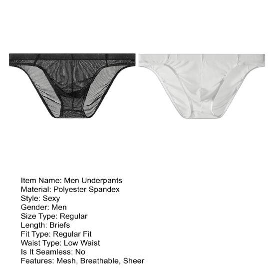 2Pcs Men Sexy Mesh Briefs Underpants Breathable Low-Waist Sheer Thin Briefs Comfortable Summer Underwear for Daily