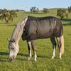 Mesh Fly Sheet Nylon Equine Gear Protection