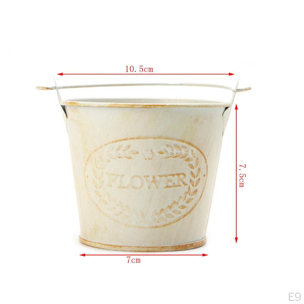 Pail Bucket Gardening Can flower Holder Pot Flowerpot Box