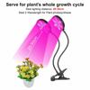DC5V 2/3/4 Head Timing Full Spectrum Phyto Lamp Fruit Vegetable Grow Light USB Clip LED RedBlue Indoor Plant Grow Light
