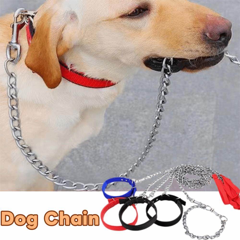 Foam Collar Iron Dog Chain Anti-wear Dog Traction Rope Pet Dog Leash for Medium and Large Dog