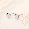 Cherry Meatball Earrings for Women with Anti-allergic Ear Accessories for Students Fresh Ear Sticks