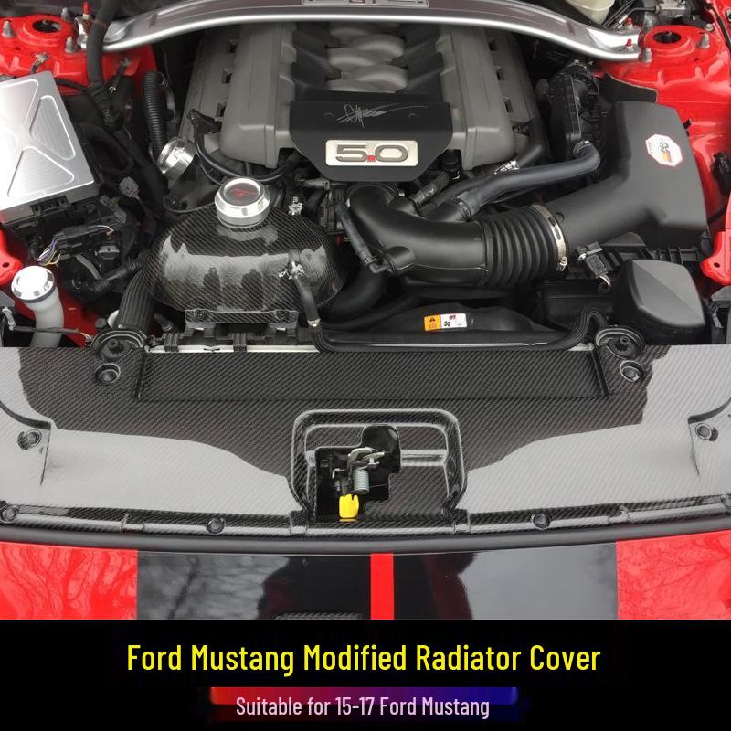 Carbon Fiber Radiator Cover & Hood Latch Guard for 15-17 Ford Mustang