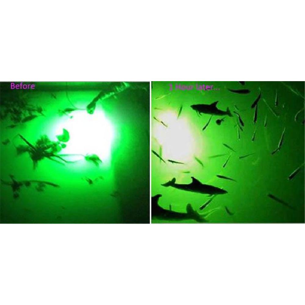 12V 20W 5050 Led Green Underwater Submersible Fishing Light Boat Squid Fish Lamp