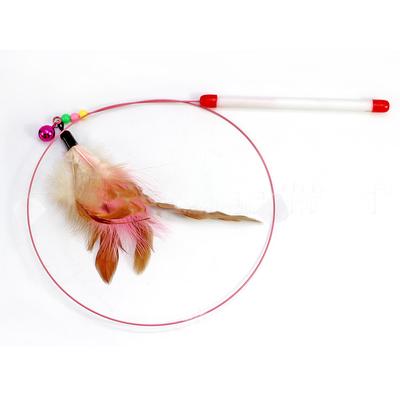 advantage multi for cats petsmart