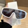 UV Protection Windproof Sunglasses for Cycling, Skiing, Running