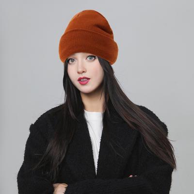 Winter Unisex Knitted Hat Stretchy Folded Brim Thickened Solid Color Ear Protection Warm