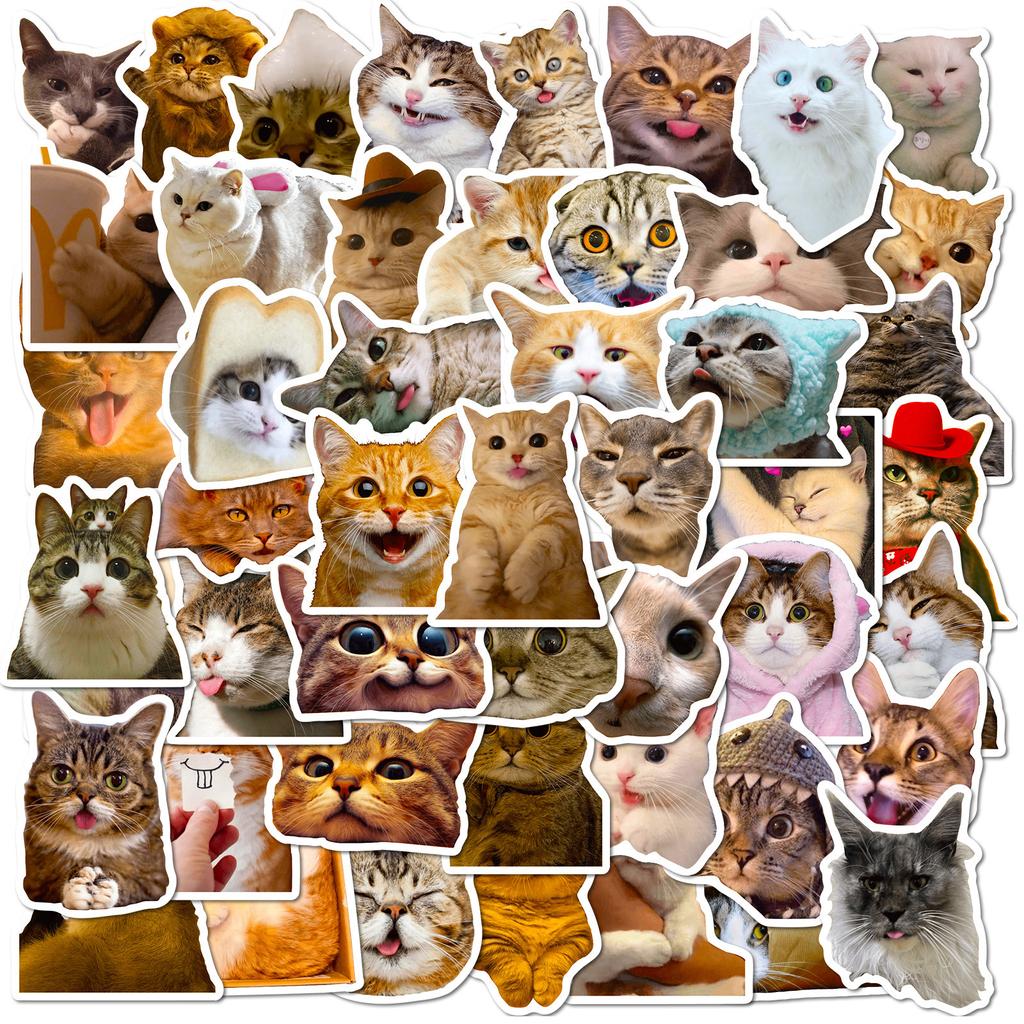 Samolepky Kawaii Black Cat Položky Dekorace Samolepky DIY Handbook Samolepky v krabici Roztomilé samolepky Korejské papírnictví