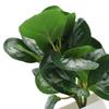 Small Artificial Plants For Decor Artificial Plants Artificial Potted Plants Compact Design Lifelike Appearance