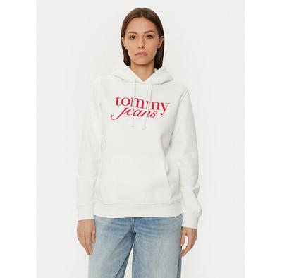 Hoodie DW0DW20170