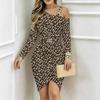 Women Plus Size One Cold Shoulder Long Sleeve Rainbow Zebra Print Irregular Wrap Bodycon Midi Dress