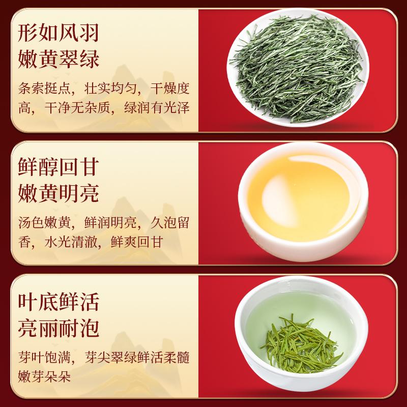 Jieying Tea Gift: Bright Sprout Xinyang Maojian Green Tea Gift Box 250g, Welcome Fortune with a Steed, Gift for Elders