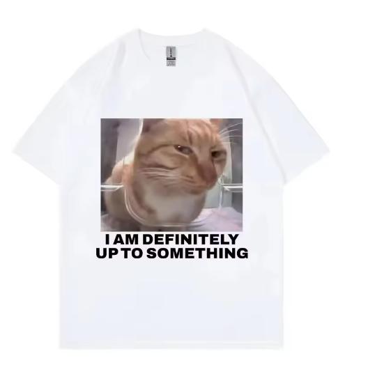 I Am Definitely Up To Something Funny Cat Meme Tshirt High Street Fashion Trend Tshirts Men Women Casual Loose Cotton T Shirt