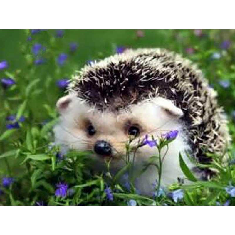 Pictura cu diamant rotund / pătrat Flori Peisaj Mozaic Broderie înger Poză cu diamant Decorare acasă