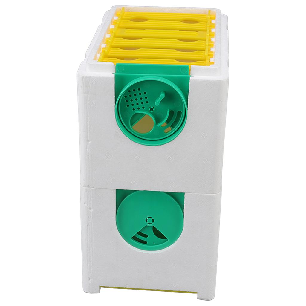 Double Layer Queen Bee Breeding Rearing Box Foam Frame Beehive Beekeeping Tool Beekeeping Equipment