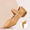 Dance Shoes for Women Two Point Flat Sole Teacher Shoes Professional Dance Shoes