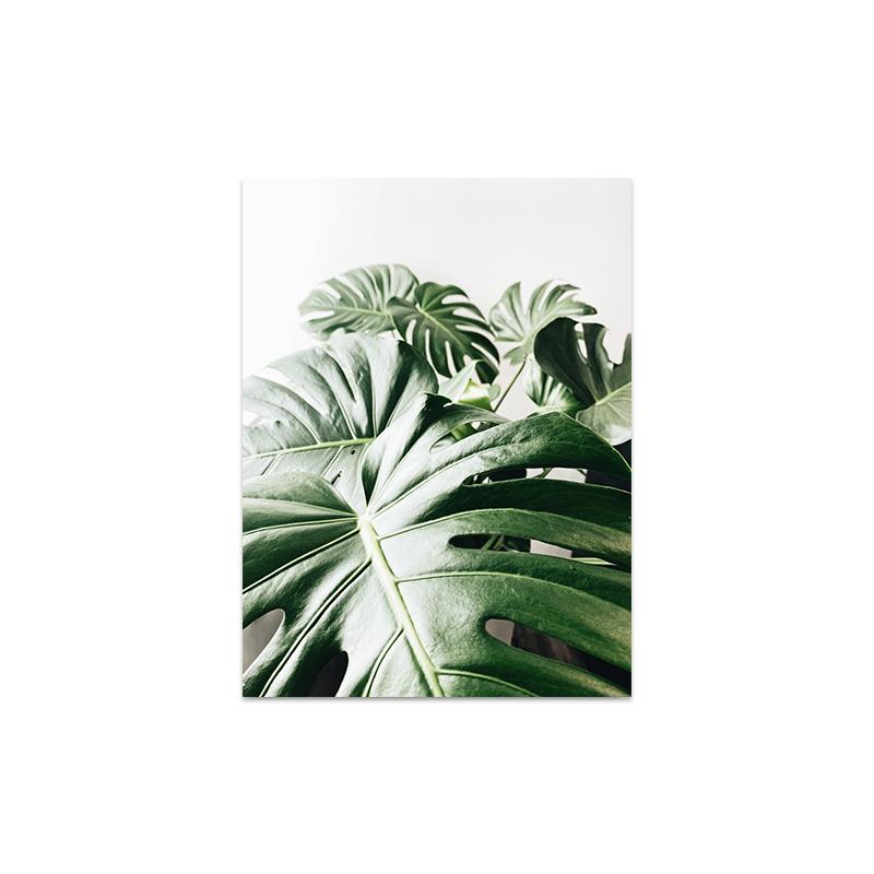 

Белый тюльпан, зеленая орхидея, алоэ, монстера, растение, холст, живопись, плакаты на скандинавскую тему и принты, настенные панно для декора гостиной 40x50cm No Frame