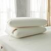 Simple Comfortable Memory Foam Neck Support Pillow for Adults and Students