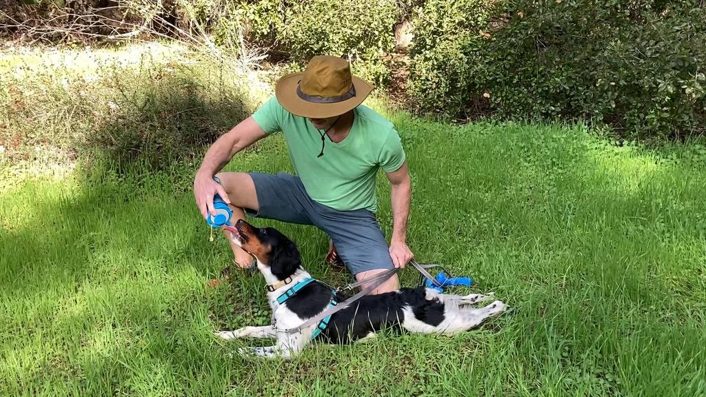 Lunatec Aquabot Clear 750ml Water Bottle for Outdoor Camping Multi-Purpose (LTA1050000)