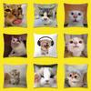 Cat Pet Cute Funny Throw Pillow Case For 45x45cm 40x40cm 30x30cm 50x50cm 55x55cm Square Home Pillowcase Case