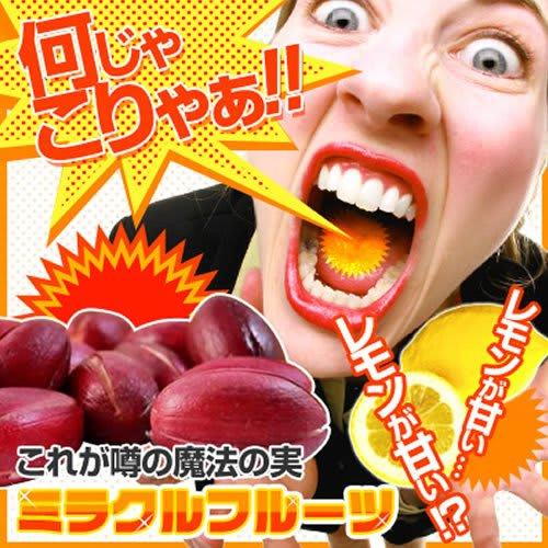 Miracle Fruit (5 pieces) (3 bags)