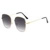 2025 Trendy European-Style UV Protection Sunglasses for Men & Women