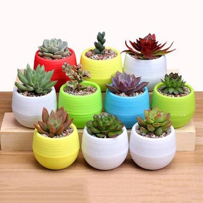 Gartenbau Mini Süßigkeiten Blumentopf Plastik Anzuchttopf Bunter Blumentopf Sukkulententopf Haushalts Schreibtisch Dekoration TMZ