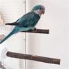 3lots Suction Cup Bird Toy Perches Stand Climbing Playing Parrots Perches Toy for Parakeets and Medium Birds