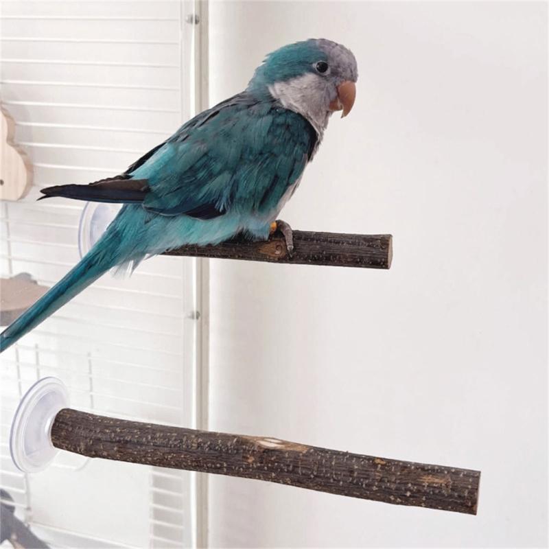 3lots Suction Cup Bird Toy Perches Stand Climbing Playing Parrots Perches Toy for Parakeets and Medium Birds