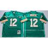 Official Miami Dolphins NFL Football Jersey Short Sleeve Embroidered Team Apparel Men