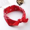 Trifong Bandana Red Handkerchief Adult Bandana Paisley Red 100% Cotton Cotton Bandana Men's Unisex 55cm x 55cm KC-D