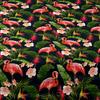1Pcs Flamingo Banana Pattern Brushed Fitted Sheet, Printed Bed Cover For Bedroom, Bedding (Excluding Pillowcases)