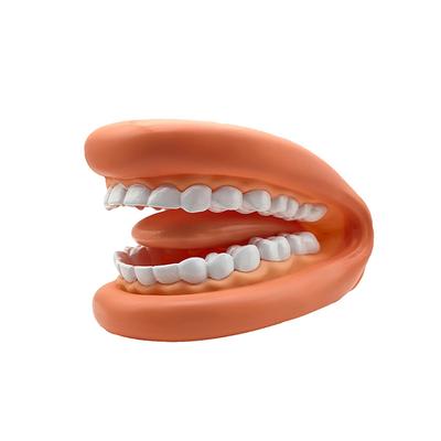 1 zestaw dentystyczny model Mighty Mouth pacynka ręczna z językiem do terapii mowy dentysta / edukacyjne źródło wiedzy dla dzieci