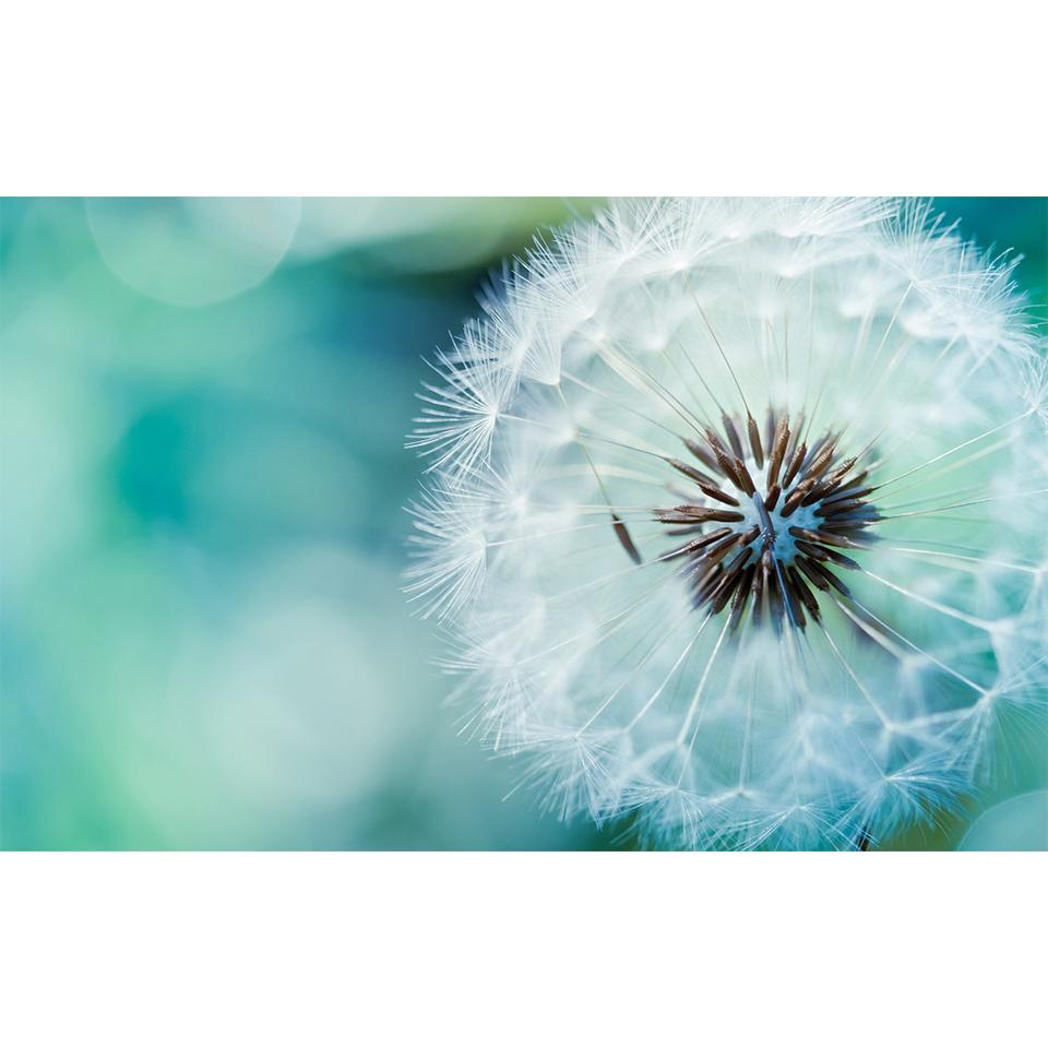 5D DIY Flowers Diamond Painting Rhinestone Landscape Picture Full Diamond Embroidery Mosaic Home Decor Gift Cross Stitch Kit