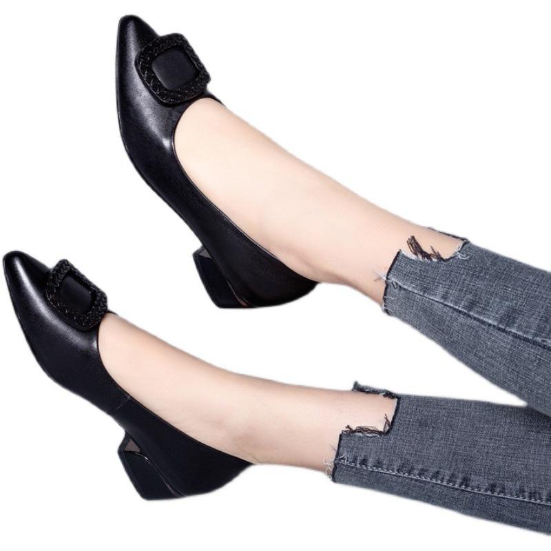 Spring new flat-soled single shoes shallow mouth pointed shoes women's shoes thick heel versatile single shoes