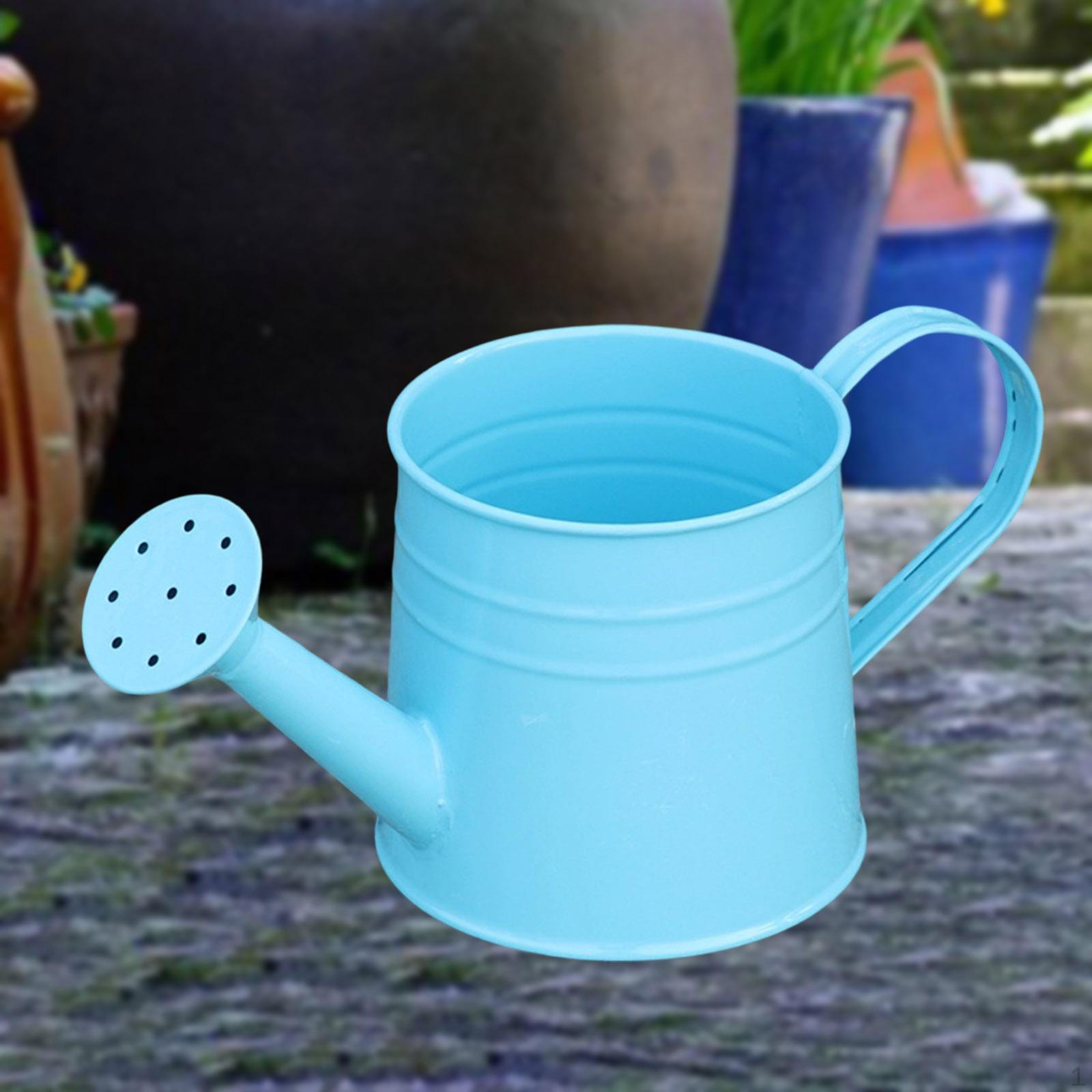 

Garden Watering Can, Multipurpose, Decorative, , for Indoor, Patio And Outdoor Use. синий
