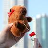 Lotus Kapibara doll pendant keychain doll ragdoll capybara plush toy gift