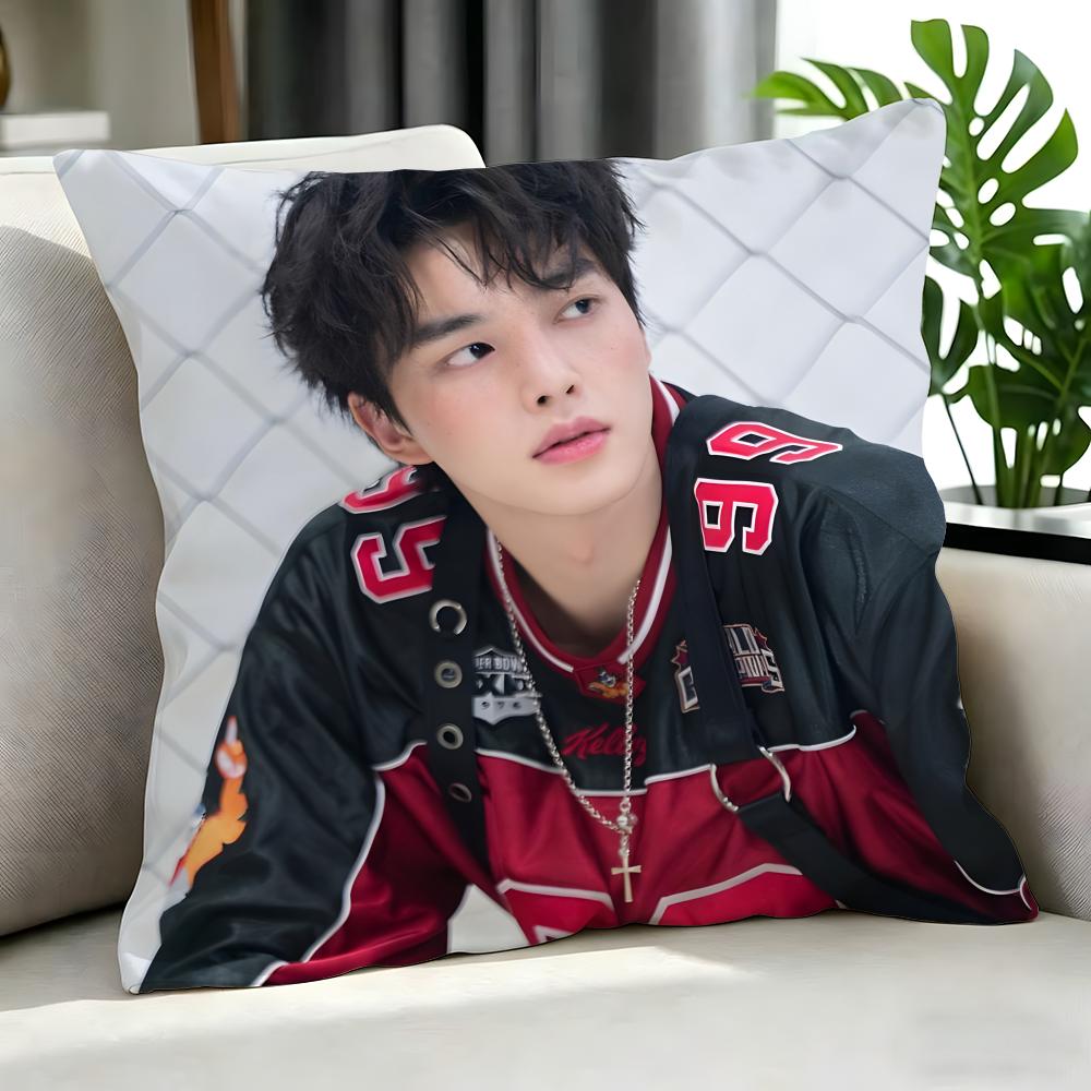 Celebrity SSong Kang Cushion Cover Cushion Cover Set Pcs X X X Pillowcase Decorative Sofa Home Decor