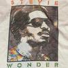 Collectie zeldzaam Stevie Wonder Kunst Shirt Unisex Alle Maten B262 Unisex T-shirt