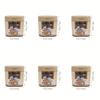 6Pcs Cartoon Pencil Sharpeners, Dual Hole for Thick & Thin Pencils, Cute Stationery & Nice Gift